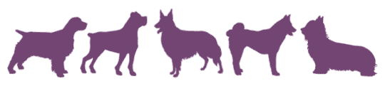 hunde