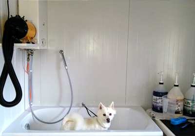 Hundesalon Horb